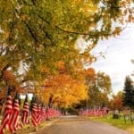 The cemetery looked beautiful this evening, all set up for the Veterans Day memorial. - Dana Camprini Muse Flags on display for Veteran's Day
